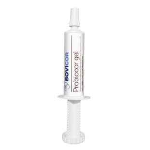 Probiocor gel