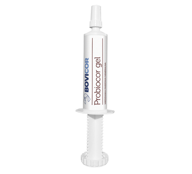 Probiocor gel